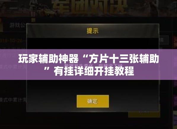 玩家辅助神器“方片十三张辅助”有挂详细开挂教程