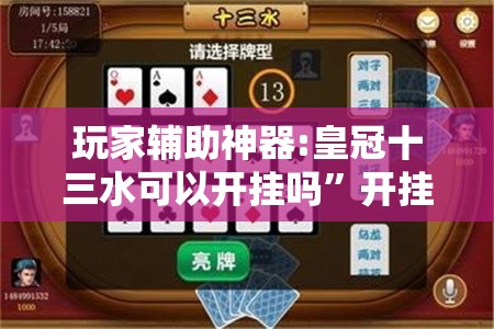 玩家辅助神器:皇冠十三水可以开挂吗”开挂辅助透视教程