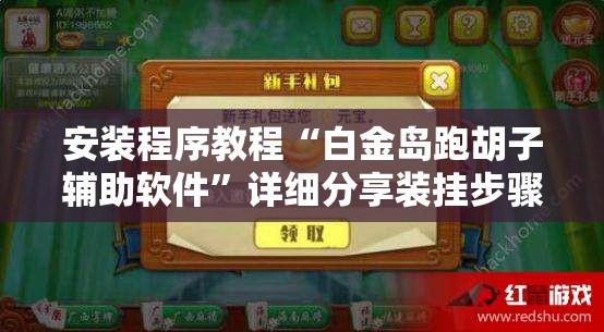 安装程序教程“白金岛跑胡子辅助软件”详细分享装挂步骤