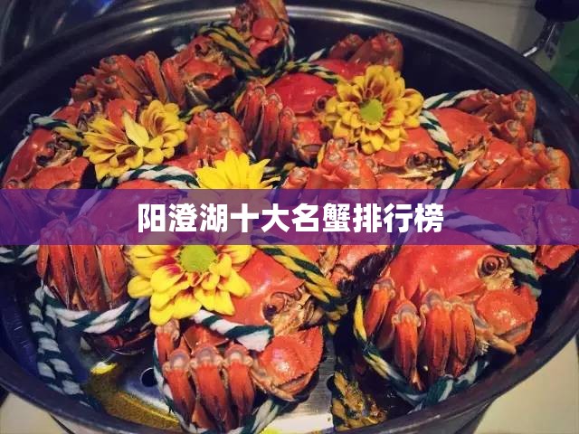 阳澄湖十大名蟹排行榜