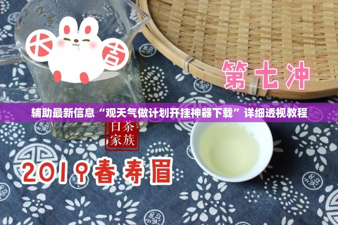 辅助最新信息“观天气做计划开挂神器下载”详细透视教程