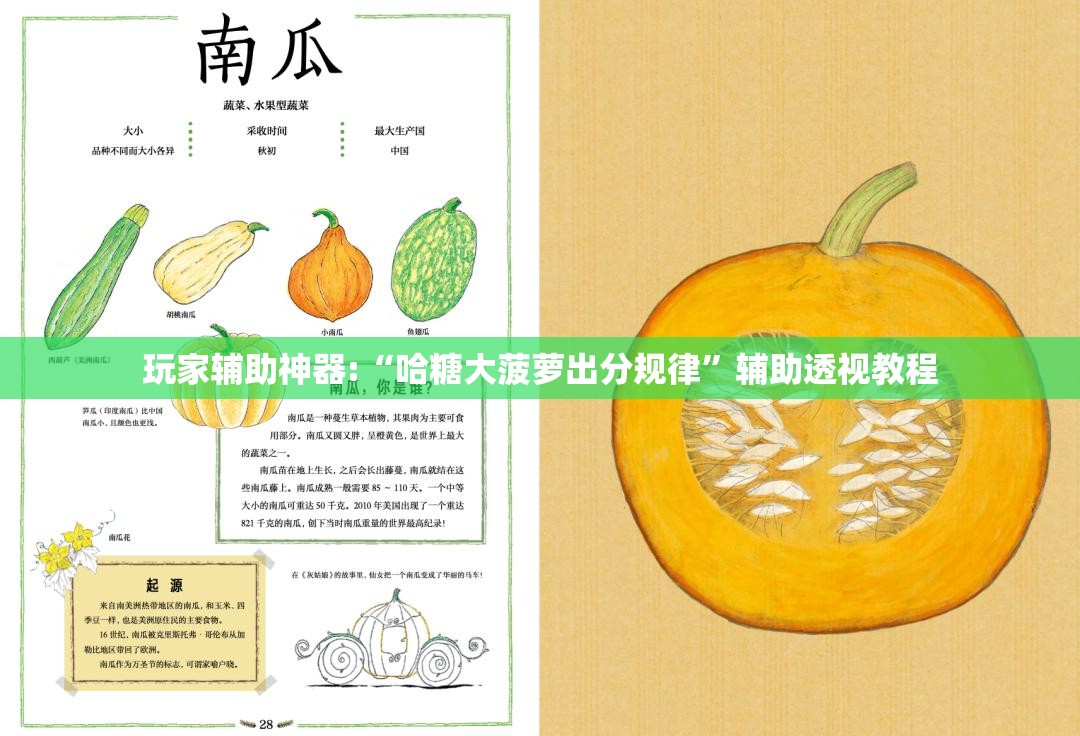 玩家辅助神器:“哈糖大菠萝出分规律”辅助透视教程