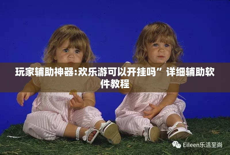 玩家辅助神器:欢乐游可以开挂吗”详细辅助软件教程