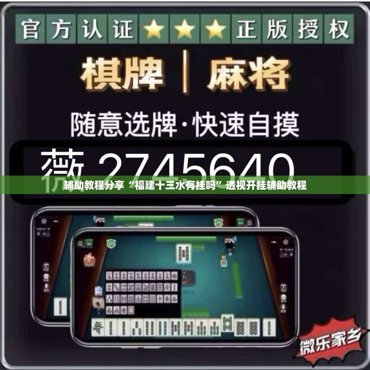 辅助教程分享“福建十三水有挂吗”透视开挂辅助教程