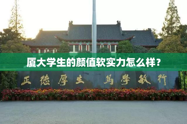 厦大学生的颜值软实力怎么样？