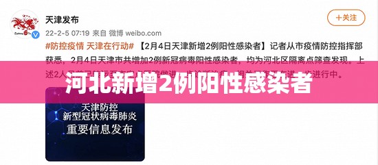 【河北新增2例阳性感染者,河北新增1例本土确诊病例】