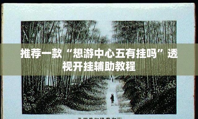 推荐一款“想游中心五有挂吗”透视开挂辅助教程