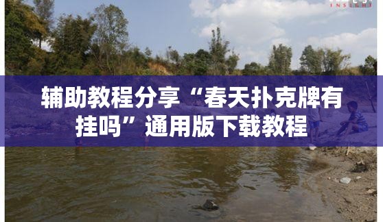 辅助教程分享“春天扑克牌有挂吗”通用版下载教程