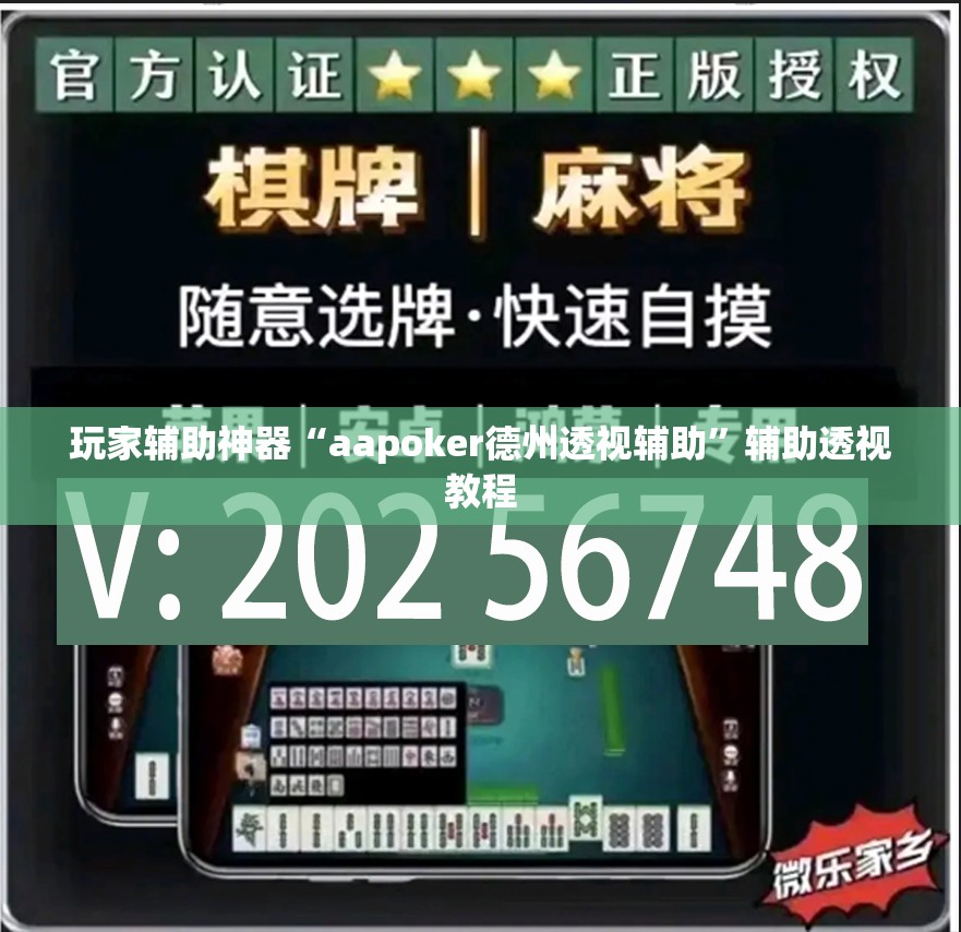 玩家辅助神器“aapoker德州透视辅助	”辅助透视教程