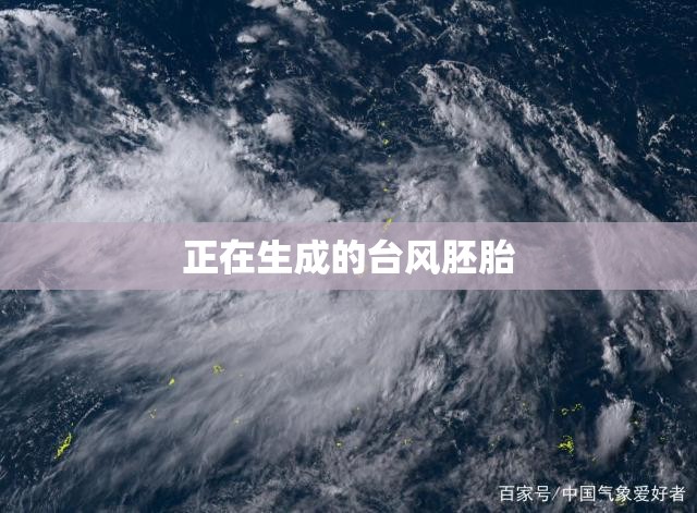 正在生成的台风胚胎