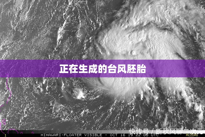 正在生成的台风胚胎