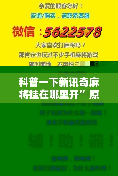科普一下新讯奇麻将挂在哪里开	”原来有挂 难怪会一直输