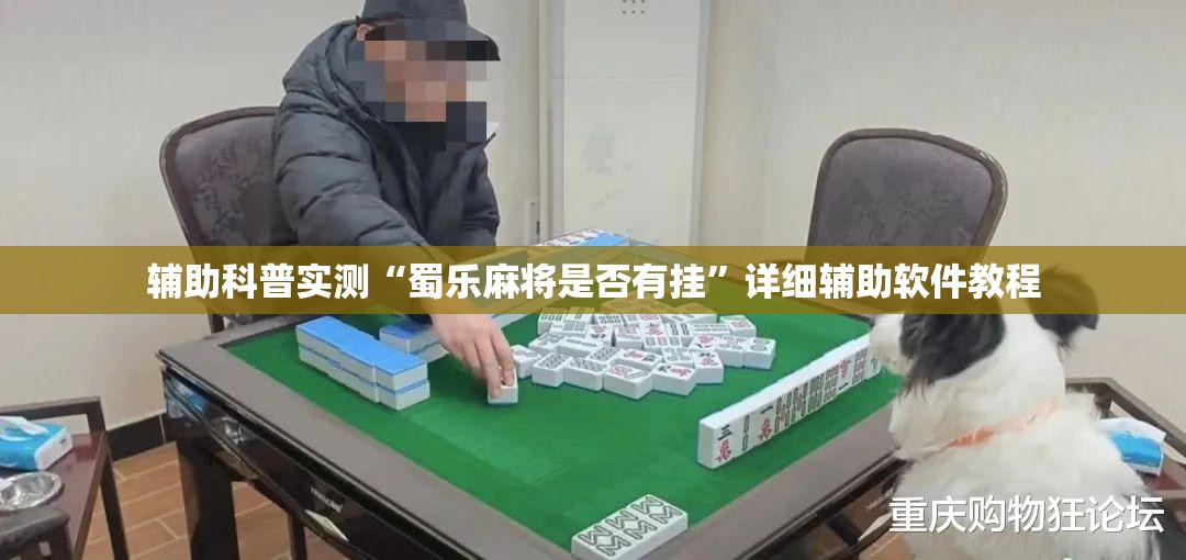 辅助科普实测“蜀乐麻将是否有挂	”详细辅助软件教程
