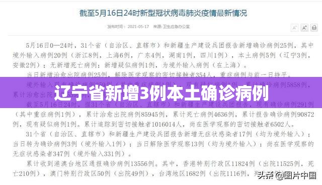 【辽宁省新增3例本土确诊病例,31省区市新增本土确诊30例】 【辽宁省新增3例本土确诊病例,31省区市新增本土确诊30例】