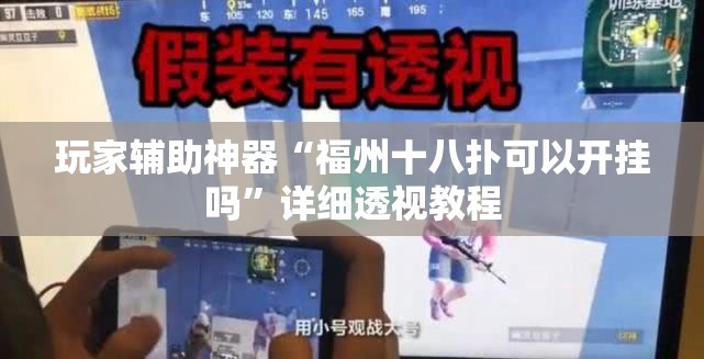 玩家辅助神器“福州十八扑可以开挂吗”详细透视教程