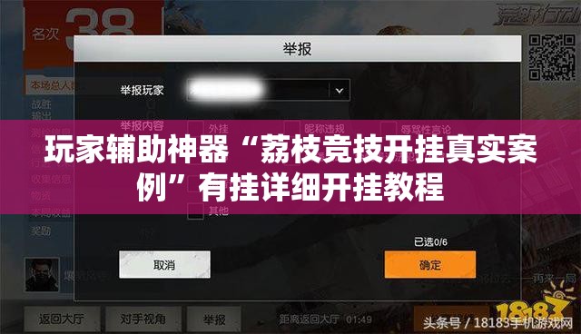 玩家辅助神器“荔枝竞技开挂真实案例”有挂详细开挂教程