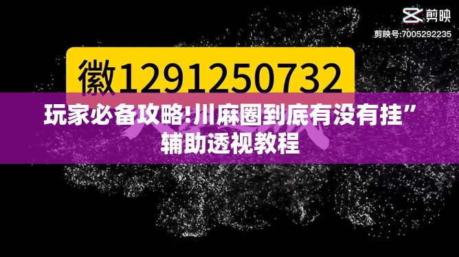 玩家必备攻略!川麻圈到底有没有挂	”辅助透视教程