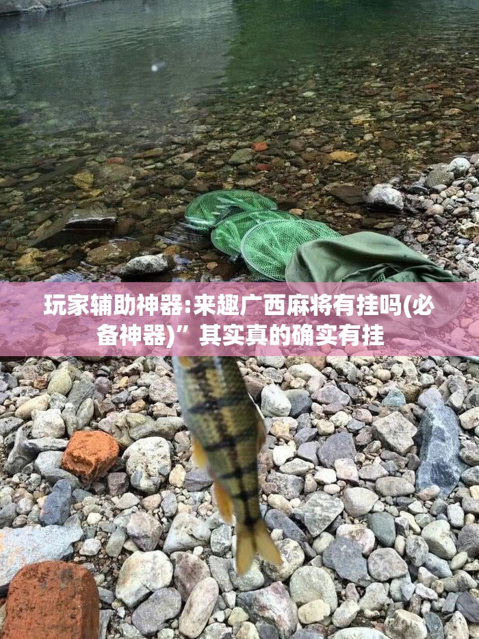 玩家辅助神器:来趣广西麻将有挂吗(必备神器)”其实真的确实有挂