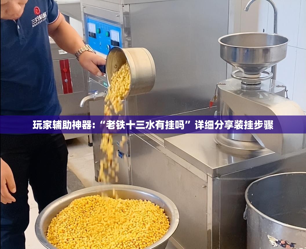 玩家辅助神器:“老铁十三水有挂吗	”详细分享装挂步骤