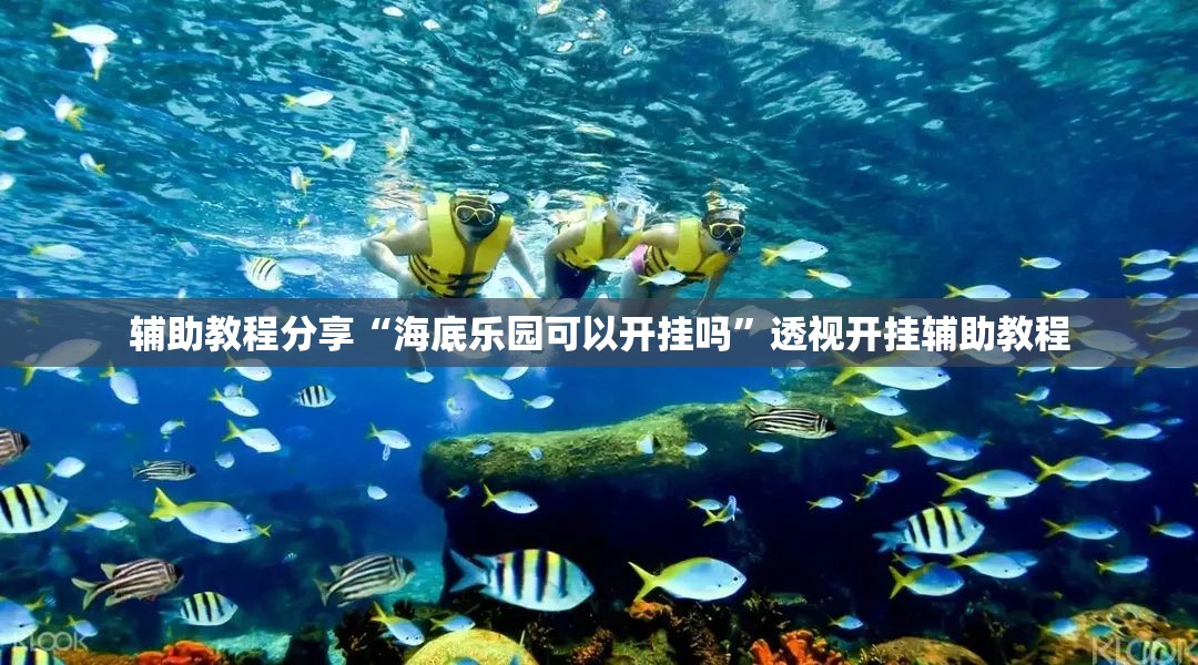 辅助教程分享“海底乐园可以开挂吗”透视开挂辅助教程