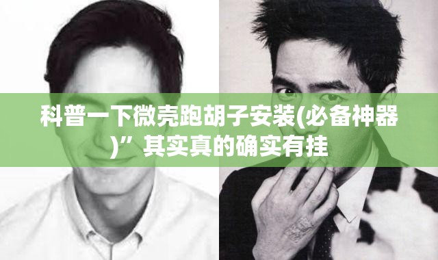 科普一下微壳跑胡子安装(必备神器)”其实真的确实有挂