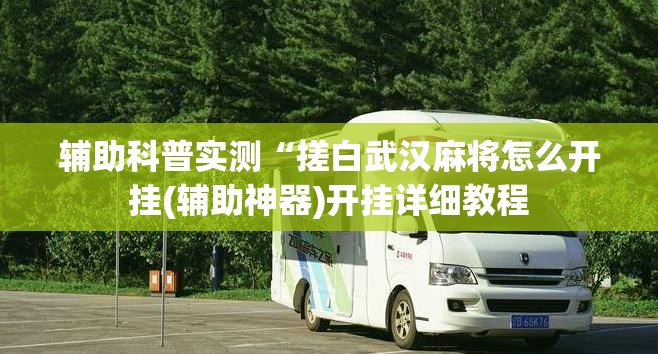 辅助科普实测“搓白武汉麻将怎么开挂(辅助神器)开挂详细教程