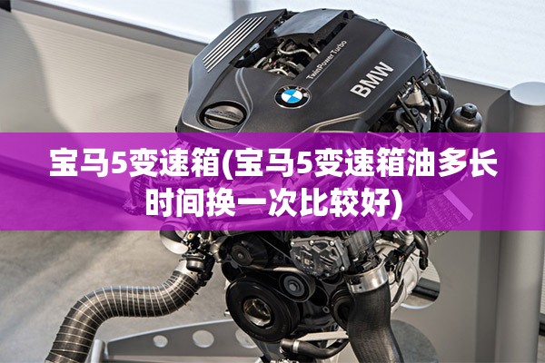 宝马5变速箱(宝马5变速箱油多长时间换一次比较好)