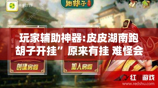 玩家辅助神器:皮皮湖南跑胡子开挂”原来有挂 难怪会一直输