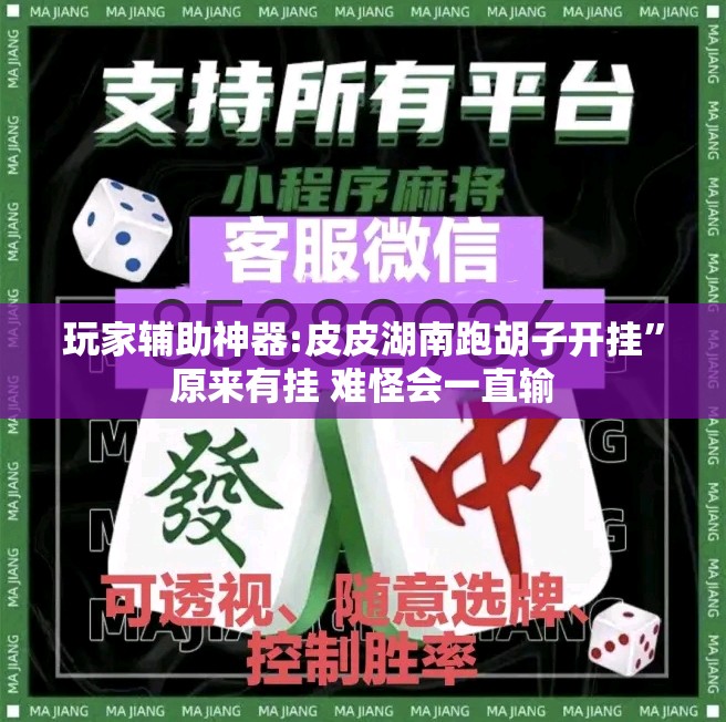 玩家辅助神器:皮皮湖南跑胡子开挂”原来有挂 难怪会一直输