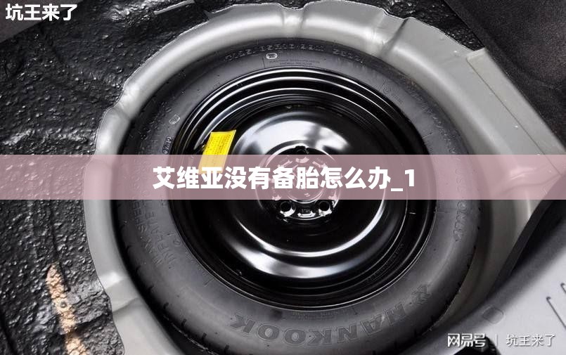 艾维亚没有备胎怎么办_1 艾维亚没有备胎怎么办_1