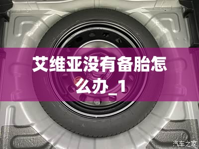 艾维亚没有备胎怎么办_1 艾维亚没有备胎怎么办_1