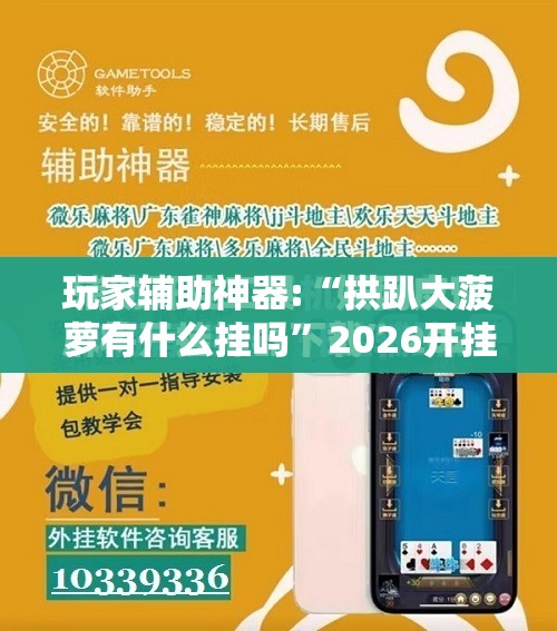 玩家辅助神器:“拱趴大菠萝有什么挂吗	”2026开挂教程步骤