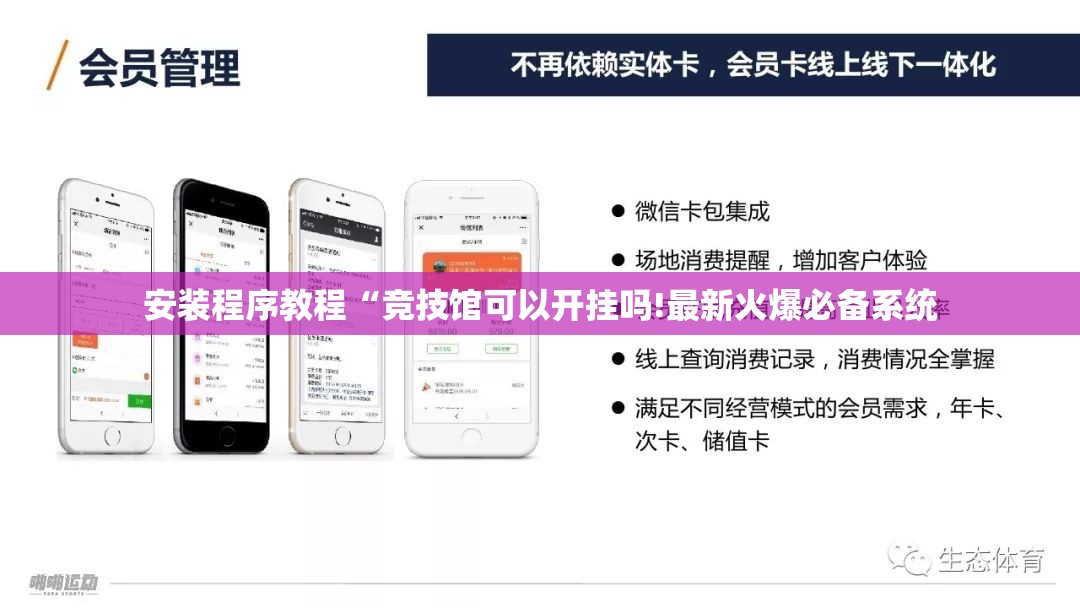 安装程序教程“竞技馆可以开挂吗!最新火爆必备系统