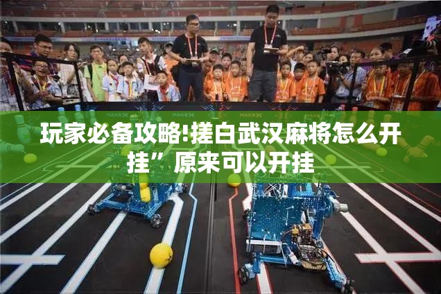 玩家必备攻略!搓白武汉麻将怎么开挂”原来可以开挂