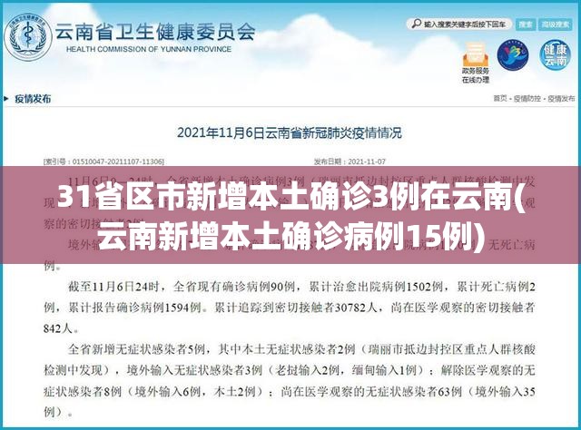 31省区市新增本土确诊3例在云南(云南新增本土确诊病例15例) 31省区市新增本土确诊3例在云南(云南新增本土确诊病例15例)