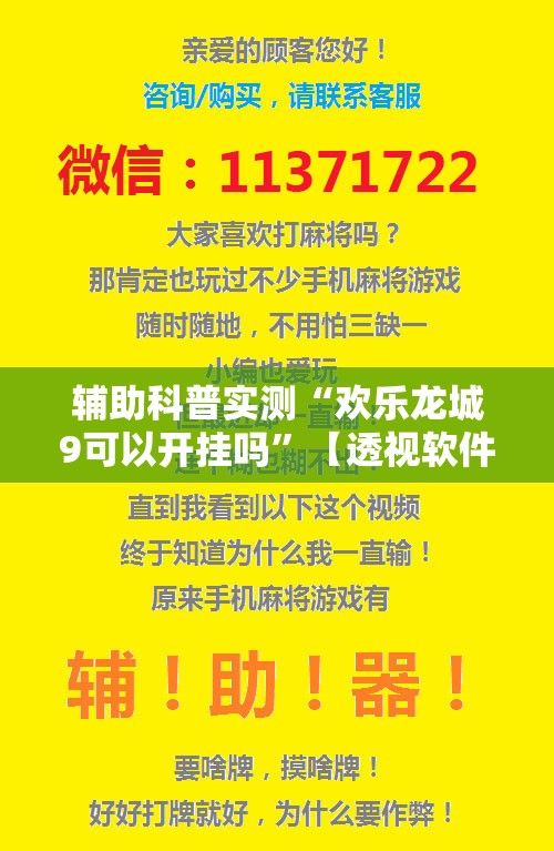 辅助科普实测“欢乐龙城9可以开挂吗”【透视软件教程分享】