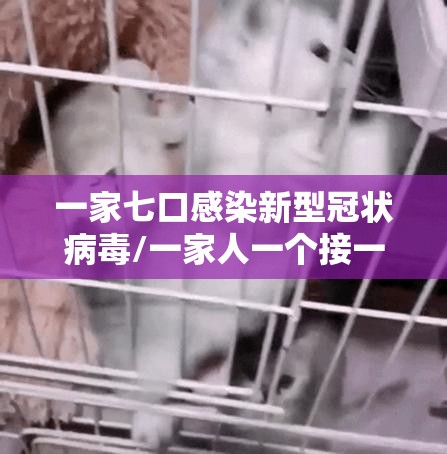 一家七口感染新型冠状病毒/一家人一个接一个感染肺结核