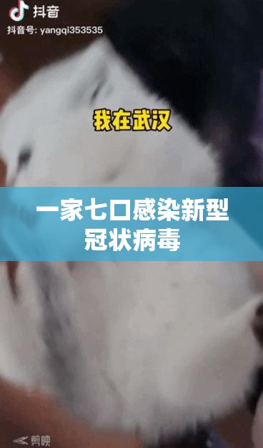 一家七口感染新型冠状病毒/一家人一个接一个感染肺结核