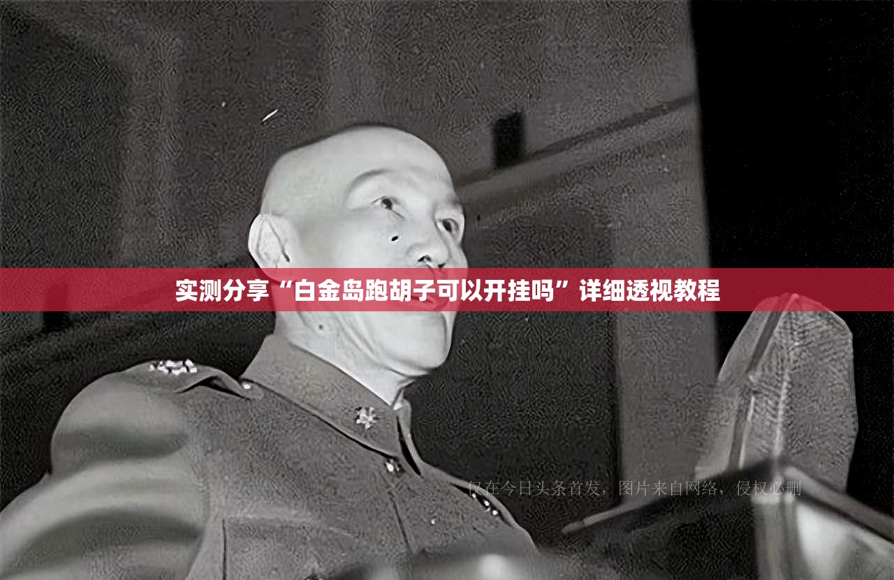 实测分享“白金岛跑胡子可以开挂吗	”详细透视教程