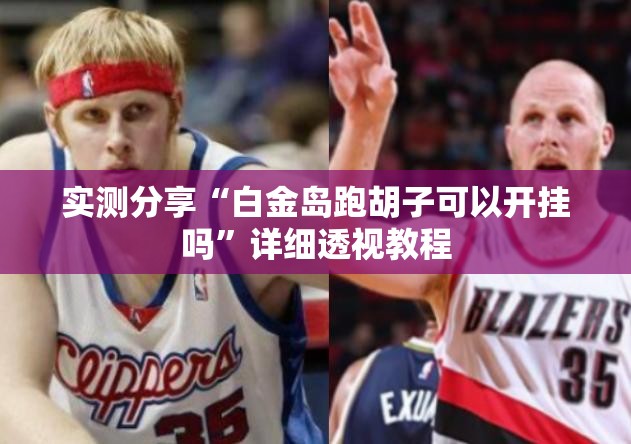 实测分享“白金岛跑胡子可以开挂吗”详细透视教程
