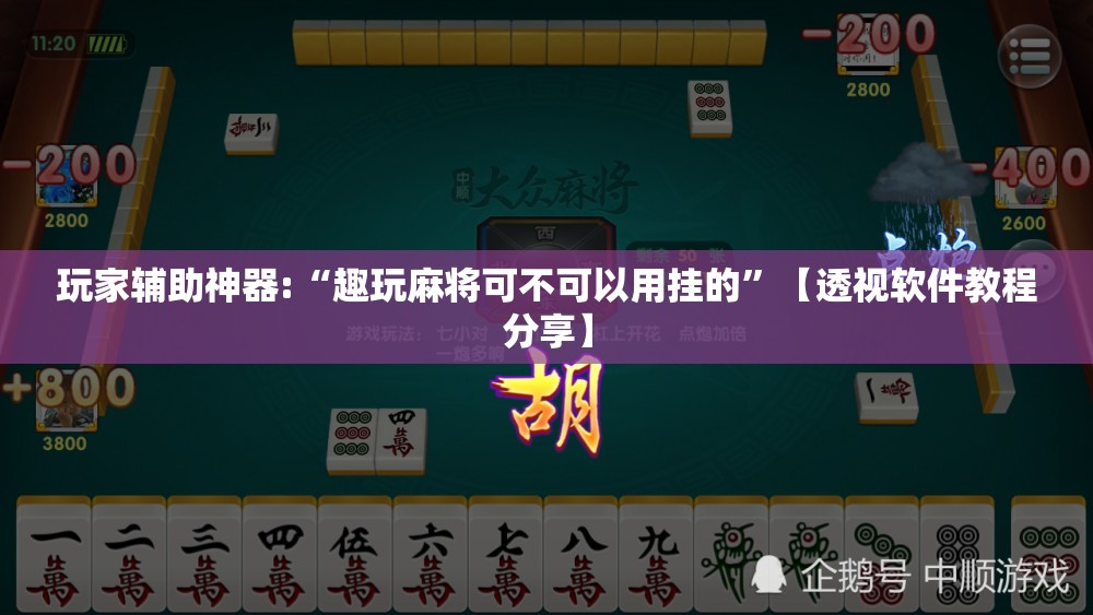玩家辅助神器:“趣玩麻将可不可以用挂的”【透视软件教程分享】