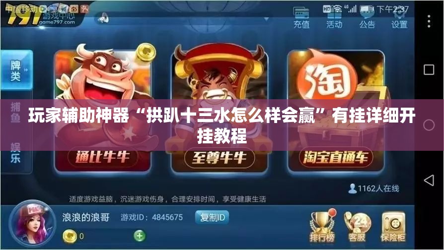 玩家辅助神器“拱趴十三水怎么样会赢”有挂详细开挂教程