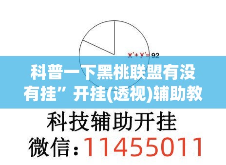 科普一下黑桃联盟有没有挂”开挂(透视)辅助教程
