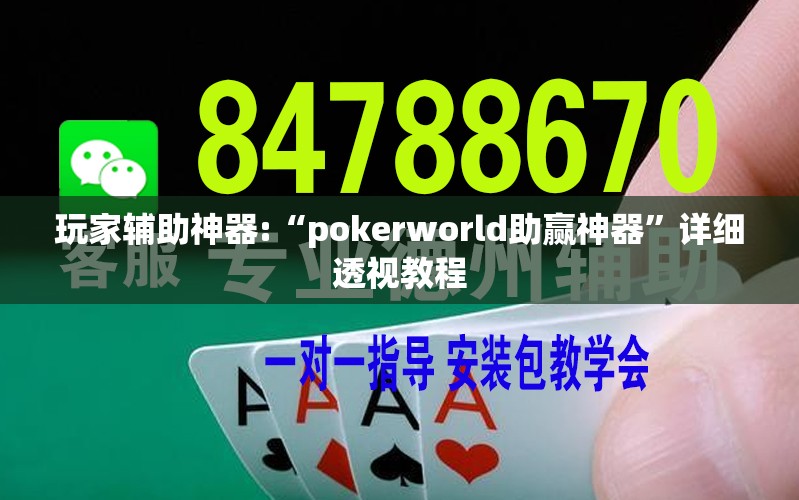 玩家辅助神器:“pokerworld助赢神器”详细透视教程