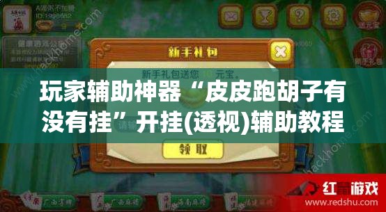 玩家辅助神器“皮皮跑胡子有没有挂”开挂(透视)辅助教程